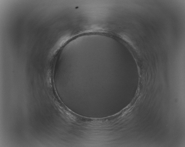 X0000067501455200604211712