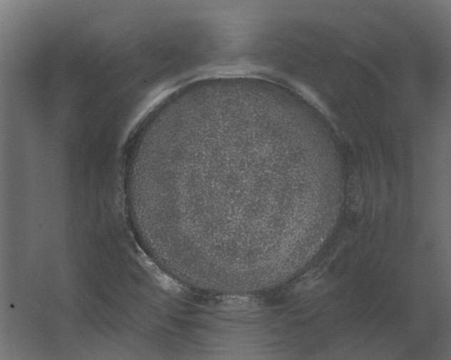 X0000067501456200604211712