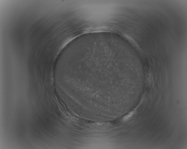 X0000067501457200604211712