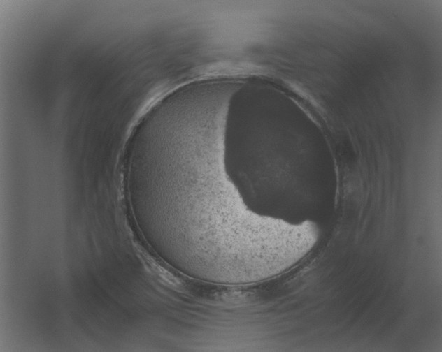 X0000067501459200604211712