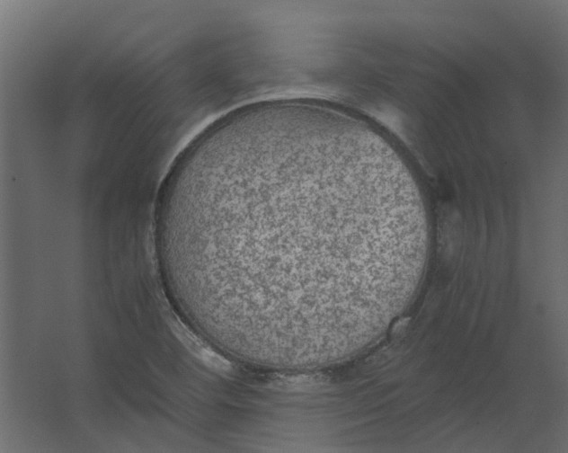 X0000067501460200604211712