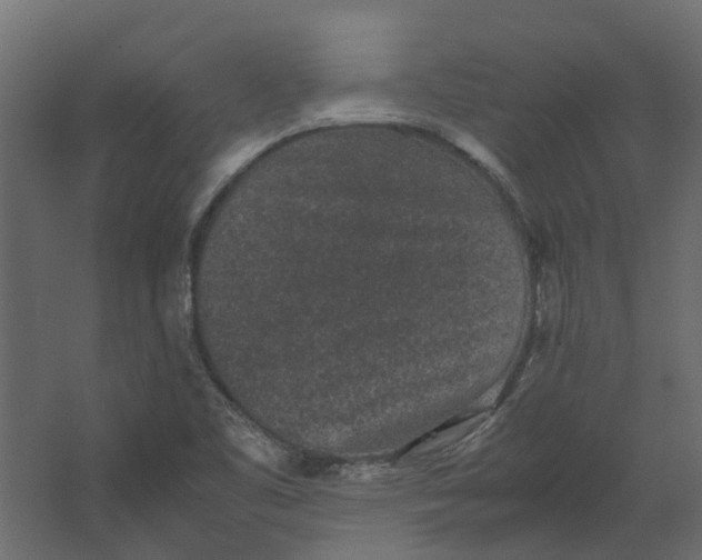 X0000067501461200604211712