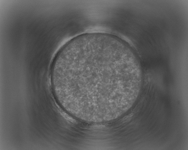 X0000067501462200604211712