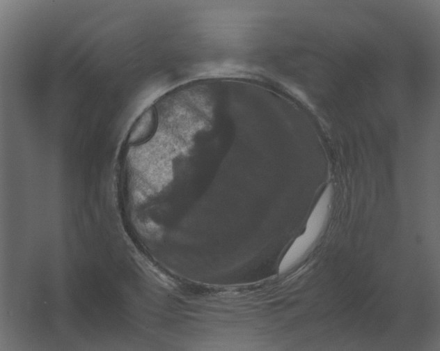 X0000067501463200604211712