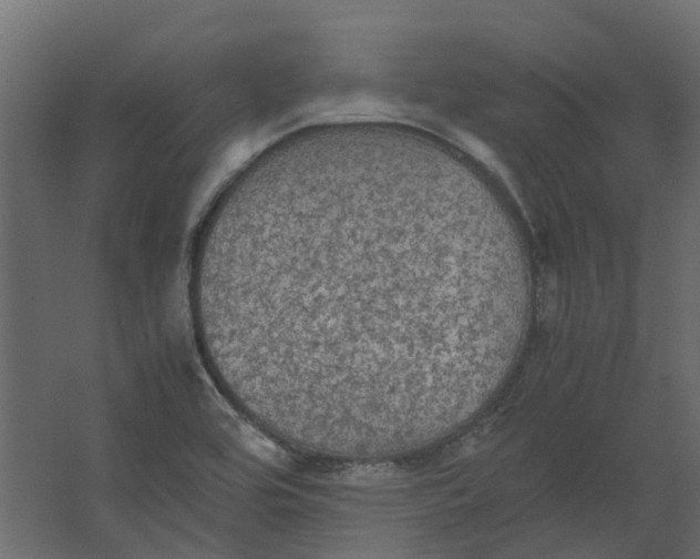 X0000067501464200604211712