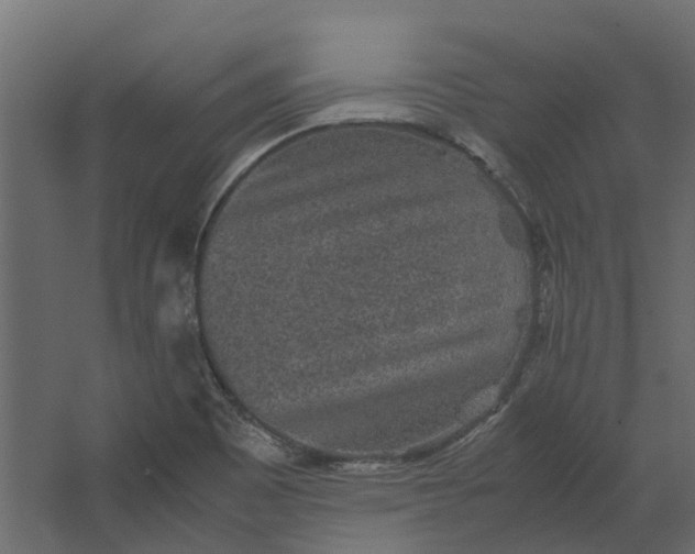 X0000067501465200604211712