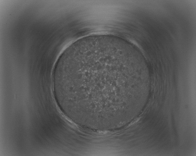 X0000067501467200604211712