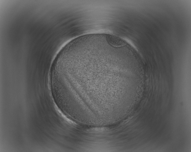 X0000067501468200604211712