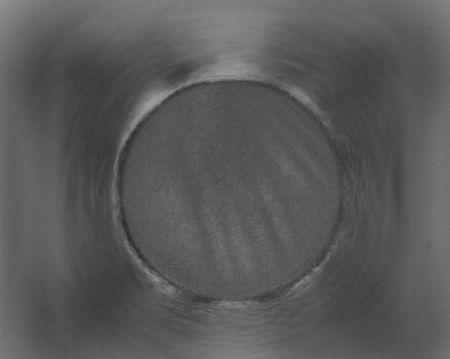 X0000067501469200604211712