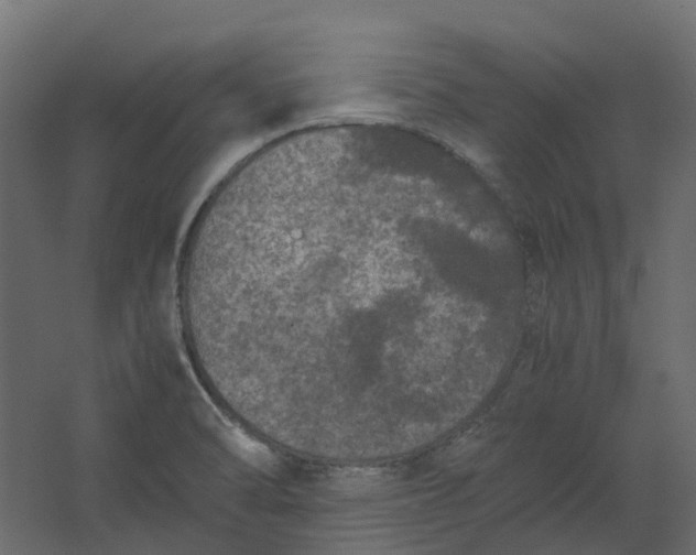 X0000067501470200604211712