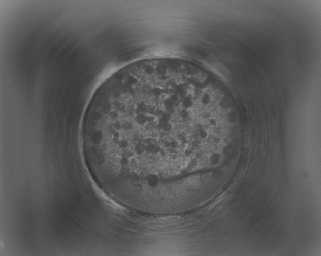 X0000067501471200604211712