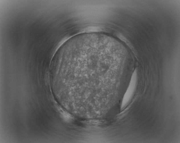 X0000067501473200604211712