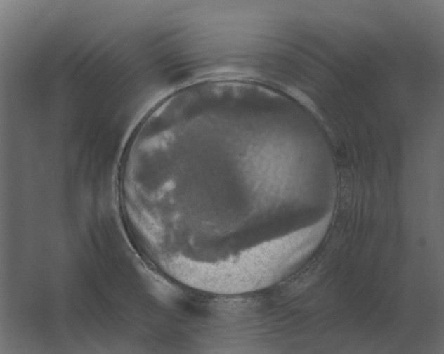 X0000067501474200604211712