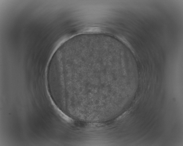 X0000067501475200604211712