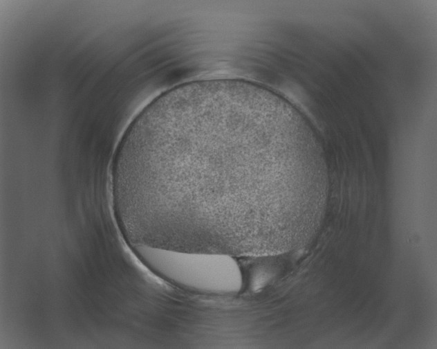 X0000067501476200604211712