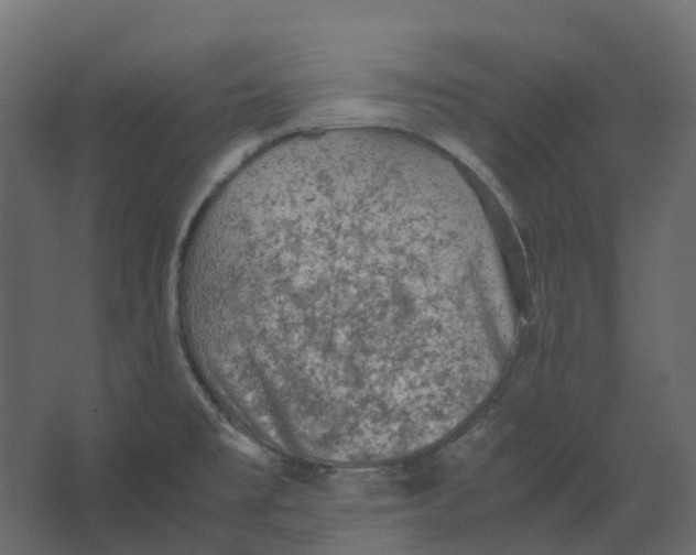 X0000067501477200604211712