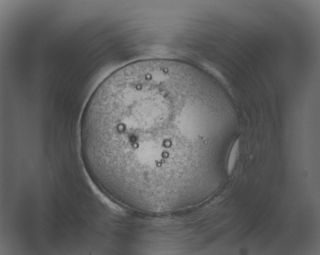 X0000067501479200604211712