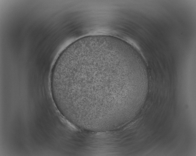 X0000067501480200604211712