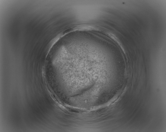 X0000067501481200604211712