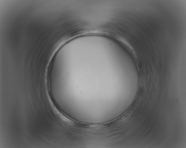 X0000067501483200604211712