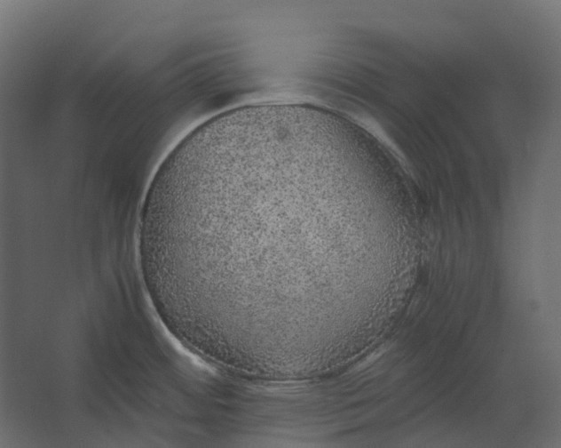 X0000067501484200604211712