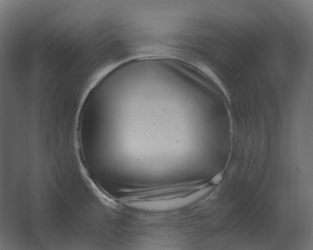 X0000067501485200604211712