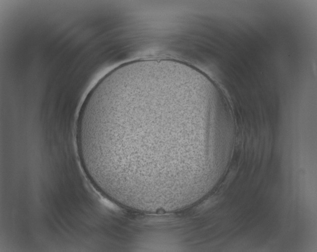 X0000067501486200604211712