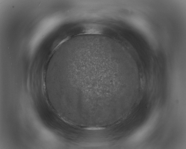 X0000067501487200604211712