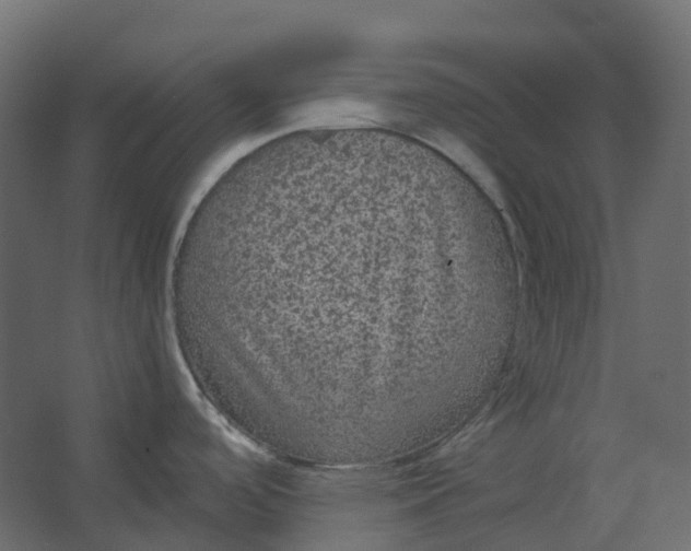 X0000067501488200604211712