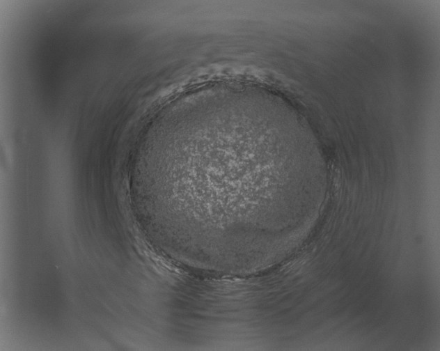 X0000067501489200604211711