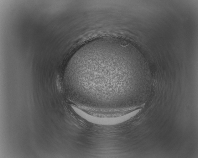 X0000067501490200604211711