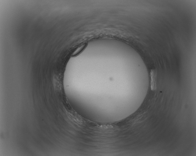 X0000067501491200604211711