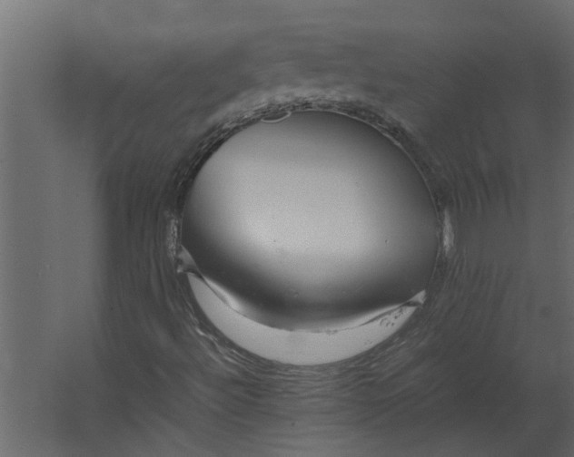 X0000067501492200604211711