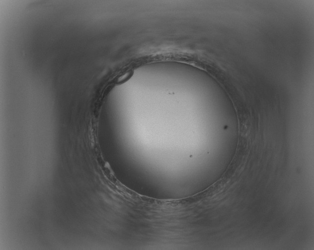 X0000067501493200604211711