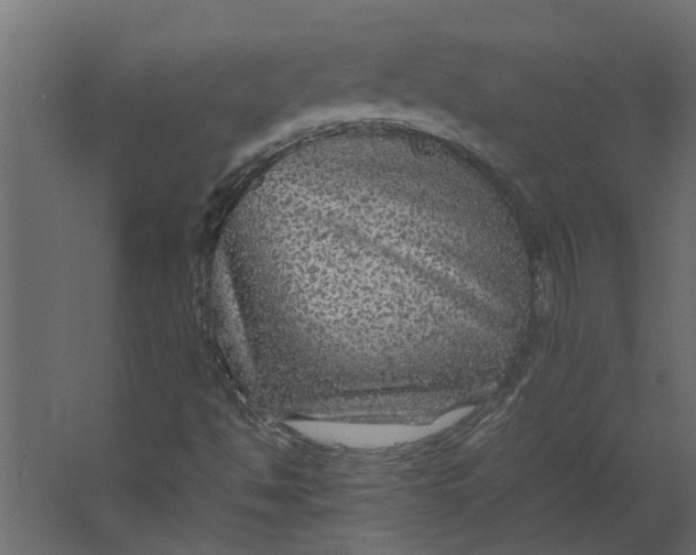 X0000067501494200604211711