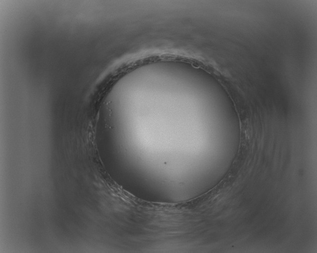 X0000067501495200604211711