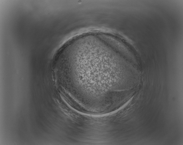 X0000067501496200604211711