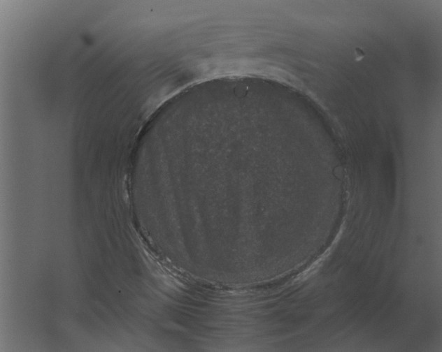 X0000067501497200604211711