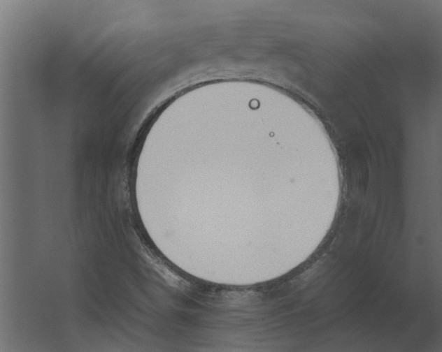 X0000067501498200604211711