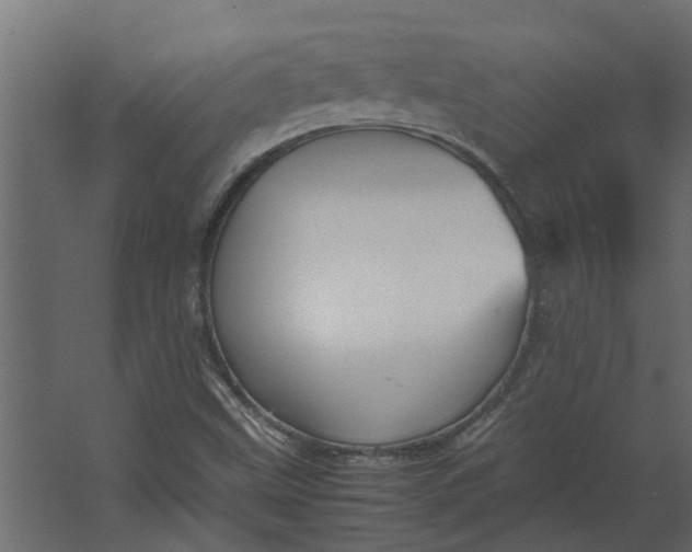 X0000067501499200604211711