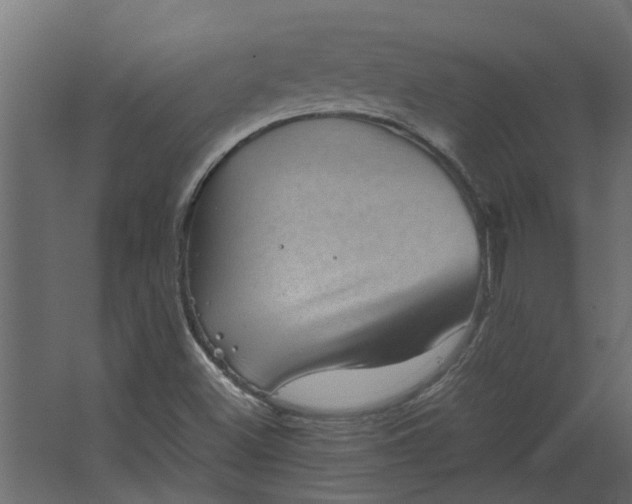 X0000067501500200604211711