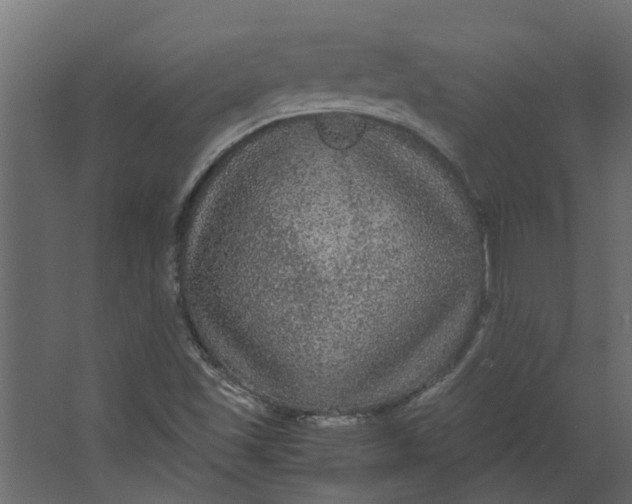 X0000067501501200604211711