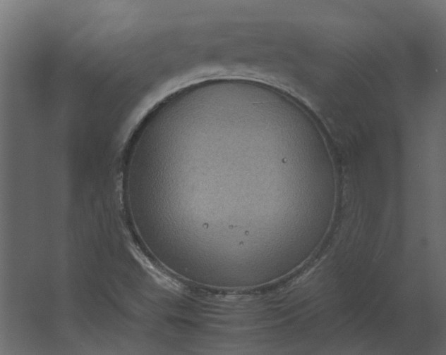 X0000067501503200604211711