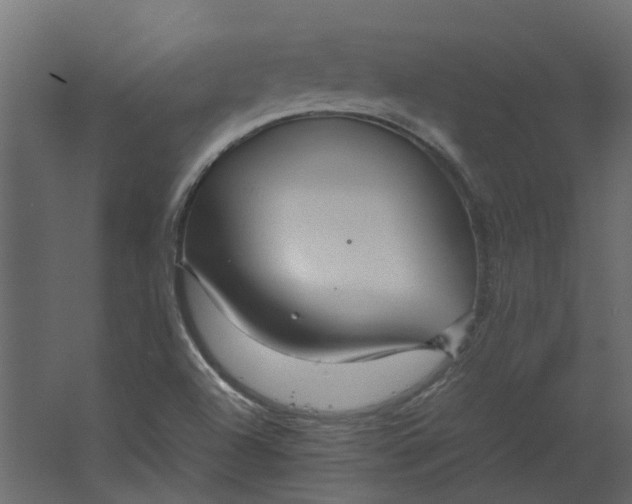 X0000067501504200604211711