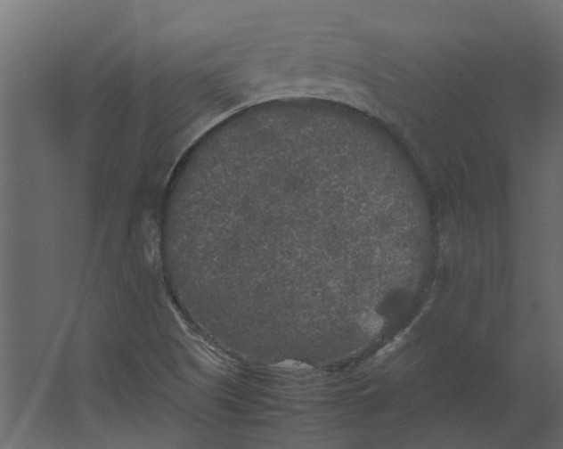 X0000067501505200604211711