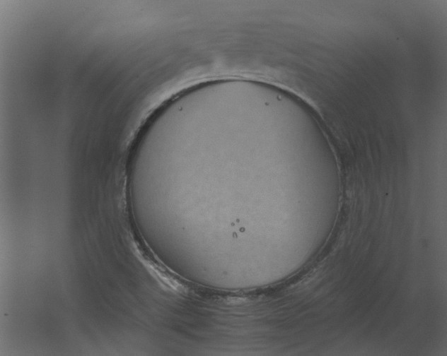 X0000067501507200604211711