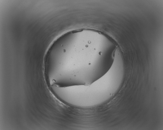 X0000067501508200604211711