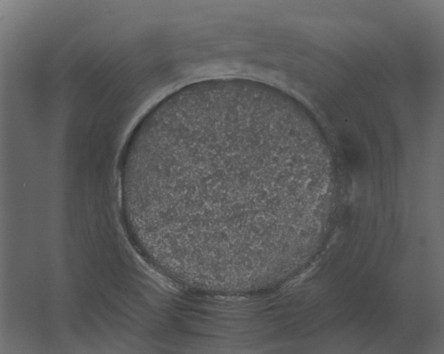 X0000067501509200604211711