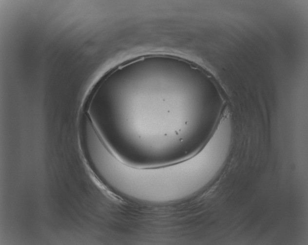 X0000067501511200604211711