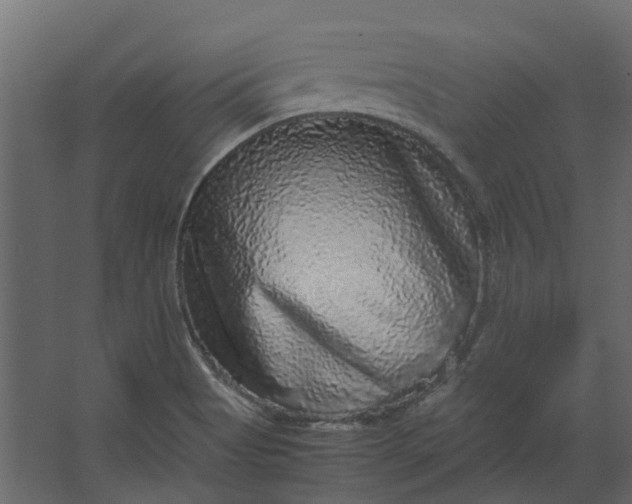 X0000067501513200604211711